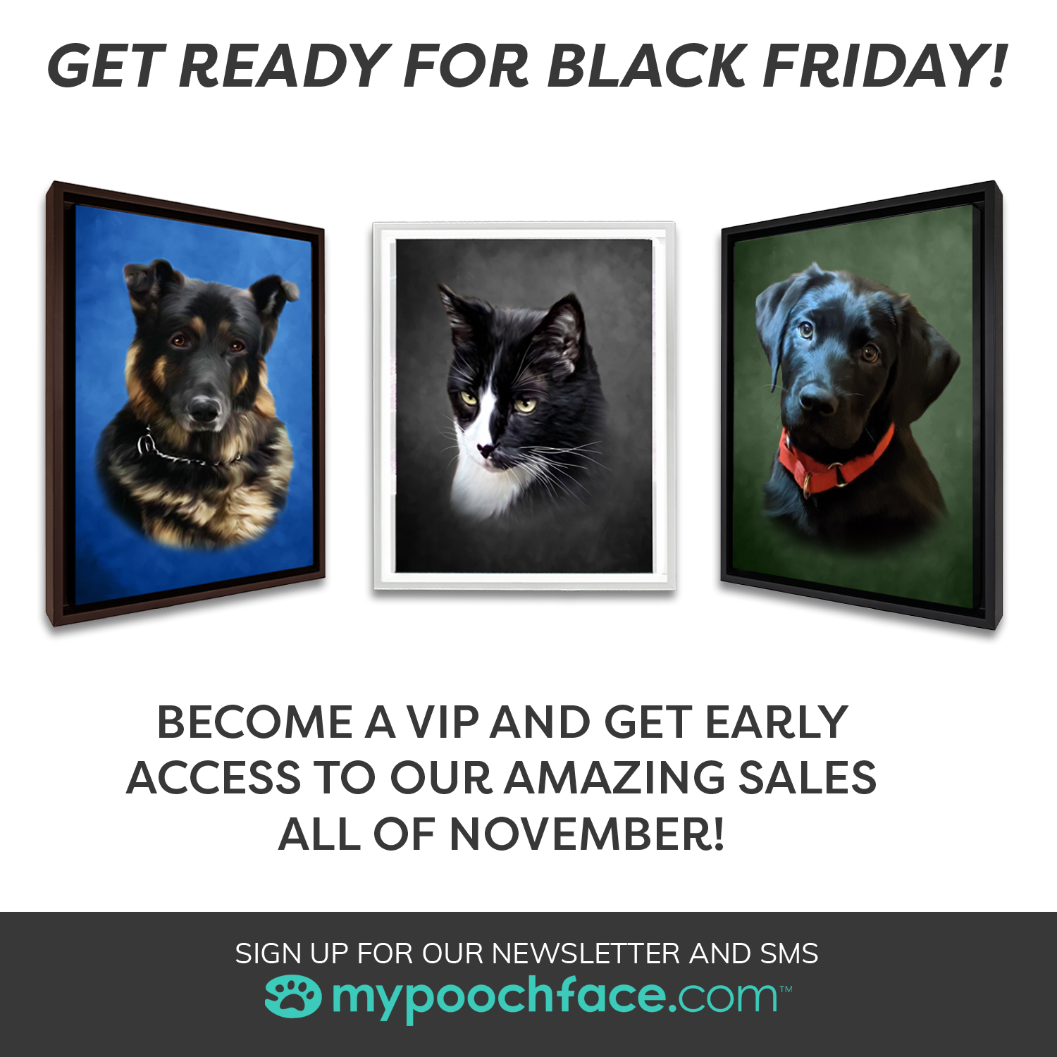 Black Friday campaign flyer